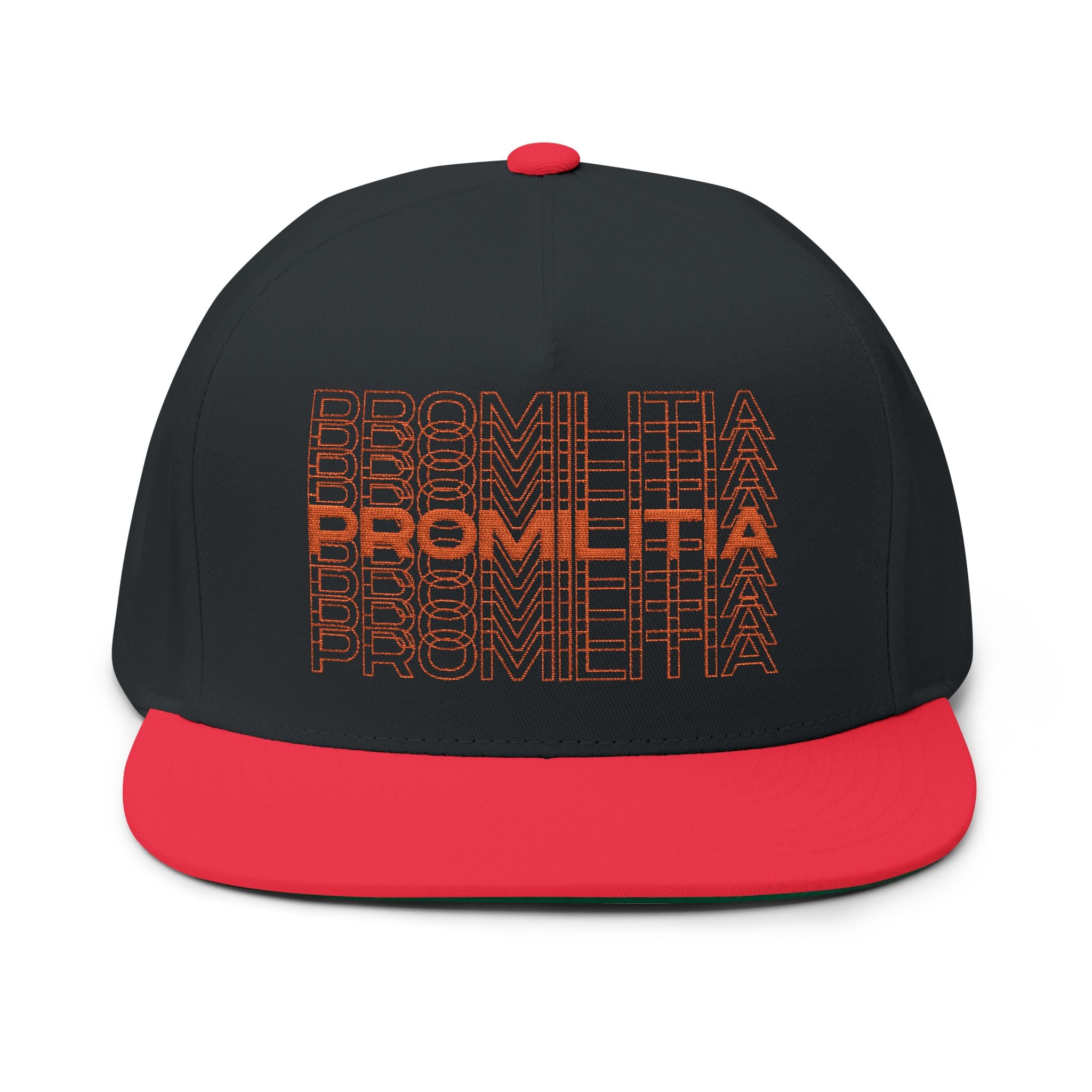 Double Vision Embroidered Flat Bill Snapback
