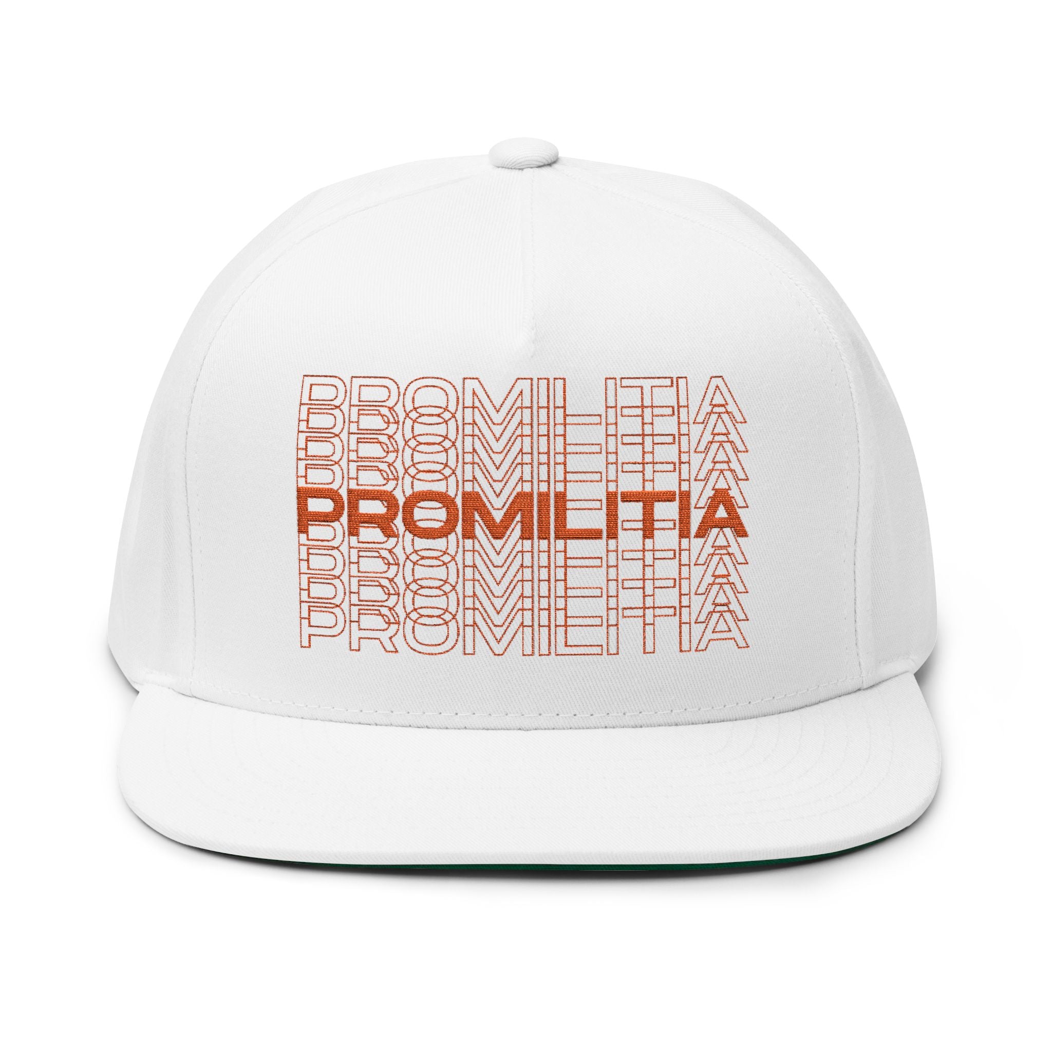 Double Vision Embroidered Flat Bill Snapback